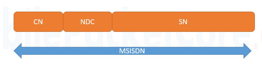 IMSI MSISDN IMEI P TMSI Mobile Identifiers Mobile Packet Core   Msisdn 